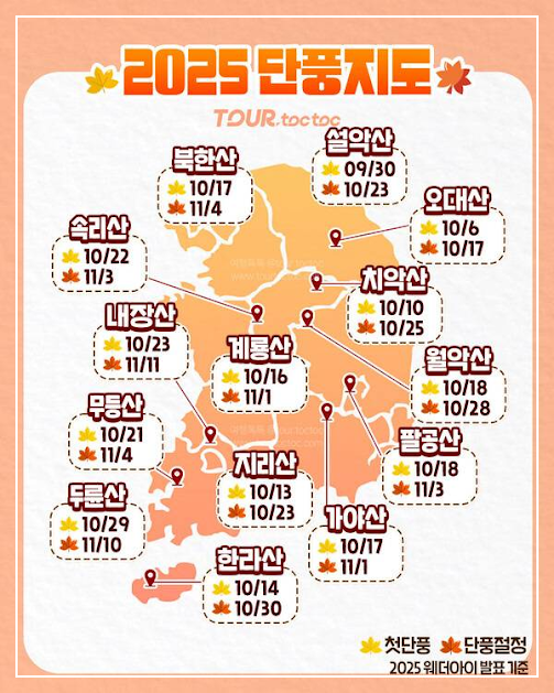 2025년 단풍지도 이미지