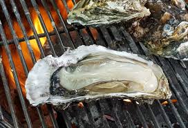 6시내고향 사천 굴구이 순애민박 위치 예약 꿀팁 대공개