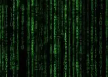 리박스쿨 댓글조작팀 자손군 실체 공개! 조직적 여론 조작, 지금 바로 확인해보세요.