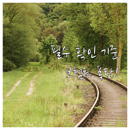 연소득 2천만원 초과 시 건강보험 피..