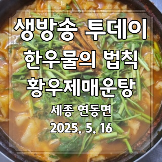 생방송 투데이 한우물의 법칙