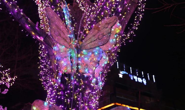 안산 별빛마을 별빛축제