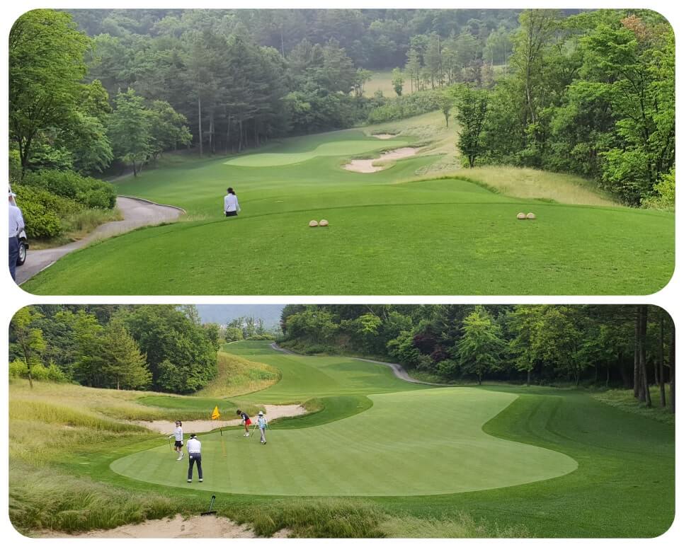 골프장 경험담 홍천 세이지우드cc 사람이 가장 쾌적함을 느끼는 해발 765m에서 경험하는 자연, 골프, 쉼