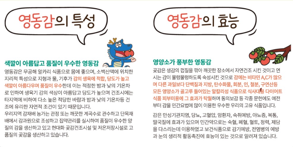 겨울철 먹거리행사 '영동곶감축제' 행사소개, 축제안내, 관련홍보영상