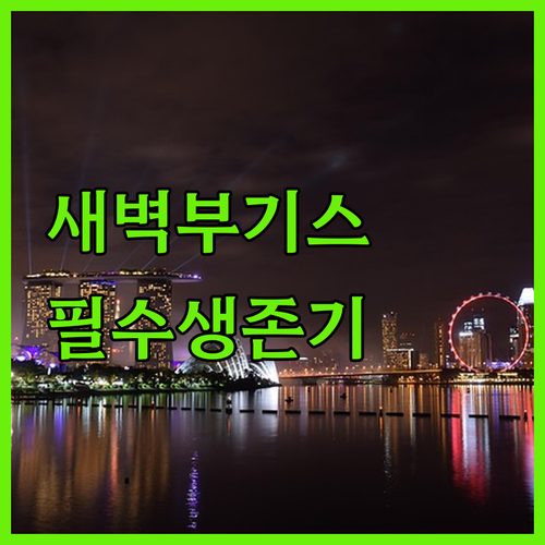 싱가포르 새벽 도착 시 유용한 부기스..