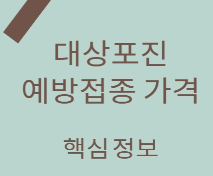 대상포진 예방접종 가격 핵심정보 대표 섬네일 이미지입니다.