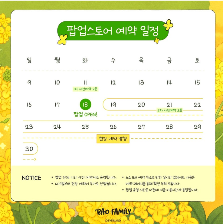 바오패밀리 팝업스토어 일정