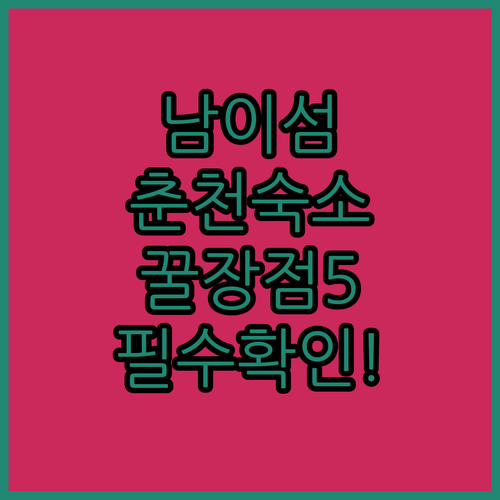 남이섬 춘천 여행 갈 때 꼭 확인해야..