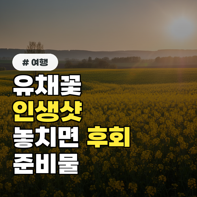 유채꽃 인생샷, '이 시간' 놓치면 후회! 방문 전 준비물