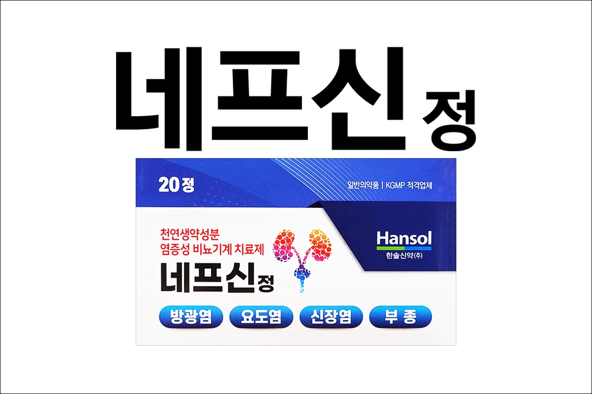 네프신정 효능 효과 부작용 방광염 요도염 신장염 부종 치료제 염증성 비뇨기계치료제
