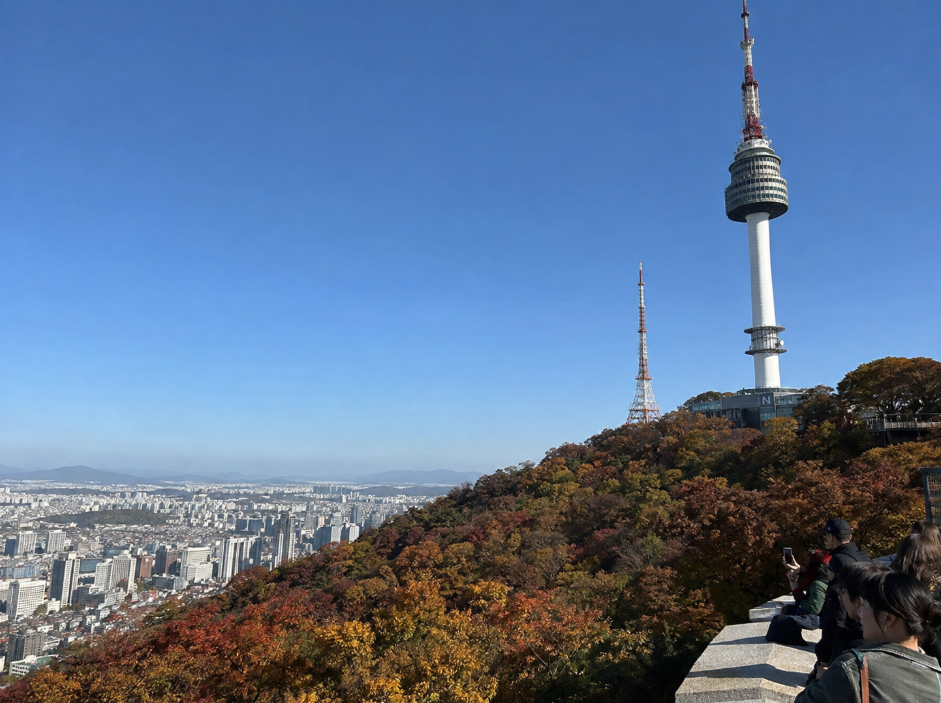 서울 남산타워와 단풍 물든 도심 전망 풍경