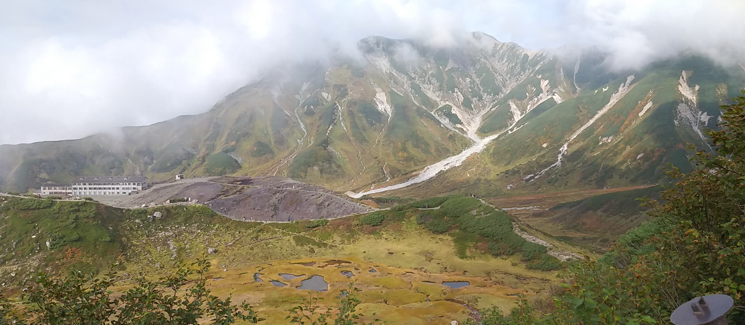 단풍이든 무로도의 고산식물