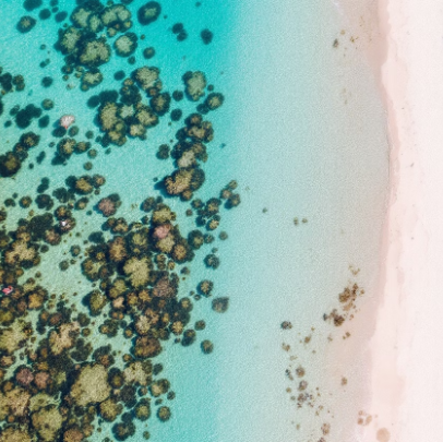 다이렉트 여행자 보험, 클릭 한 번으로 끝내는 여행 필수템