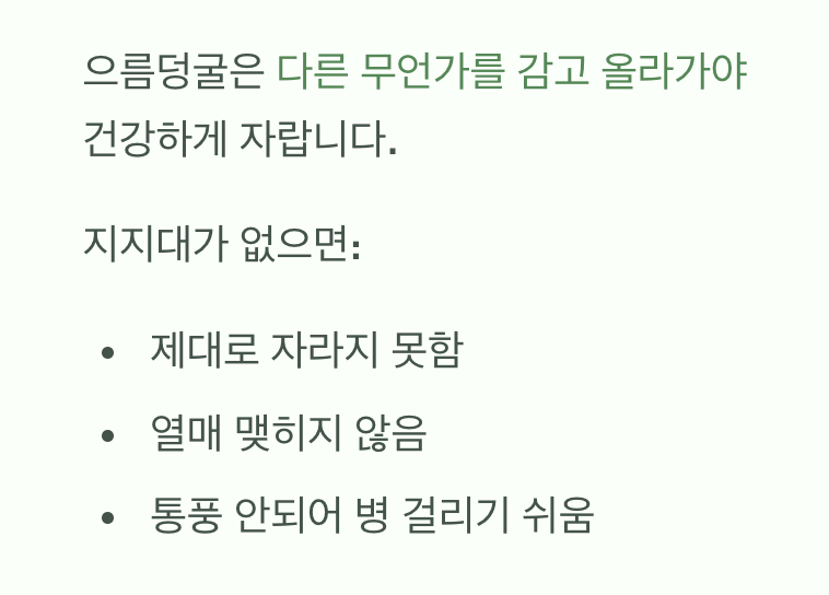 덩굴을 위한 놀이터, 지지대 설치