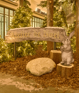 [대전&middot;세종 크리스마스 명소 BEST5] 현대프리미엄아울렛&middot;유성온천&middot;세종 빛트리페스티벌