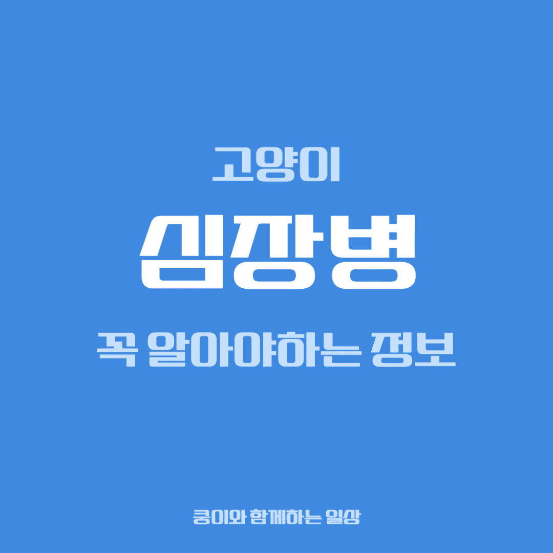 고양이 심장병, 집사가 꼭 알아야 할 정보