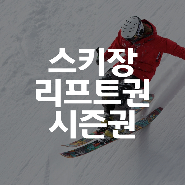 스키장 리프트권 시즌권 썸네일