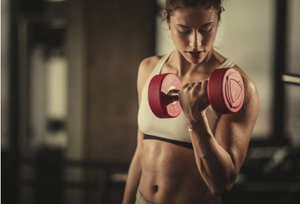 웨이트 트레이닝 횟수와 효과 (주 몇 회, 근육 성장, 회복시간)