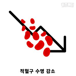 노인 빈혈 원인 관리