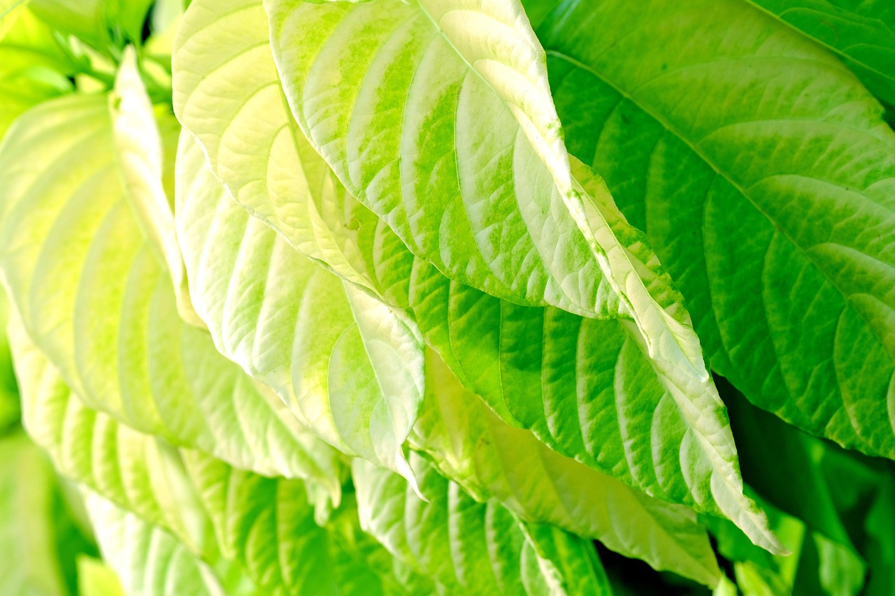 50대 중장년 재취업을 위한 핵심 지원금