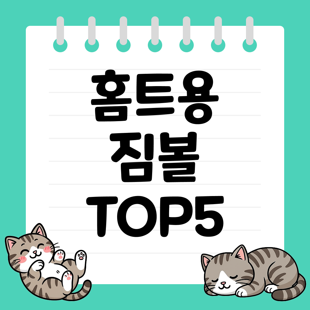 2025년 10월 2주차 홈트용 짐볼 추천 순위 TOP5