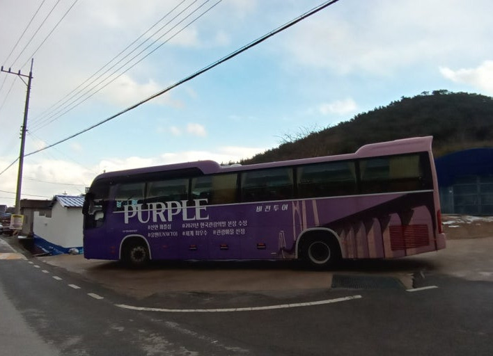 바다 옆 3km 4천만 송이 동백꽃 길 신안섬 겨울꽃 축제