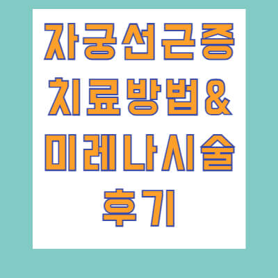 미레나시술후기