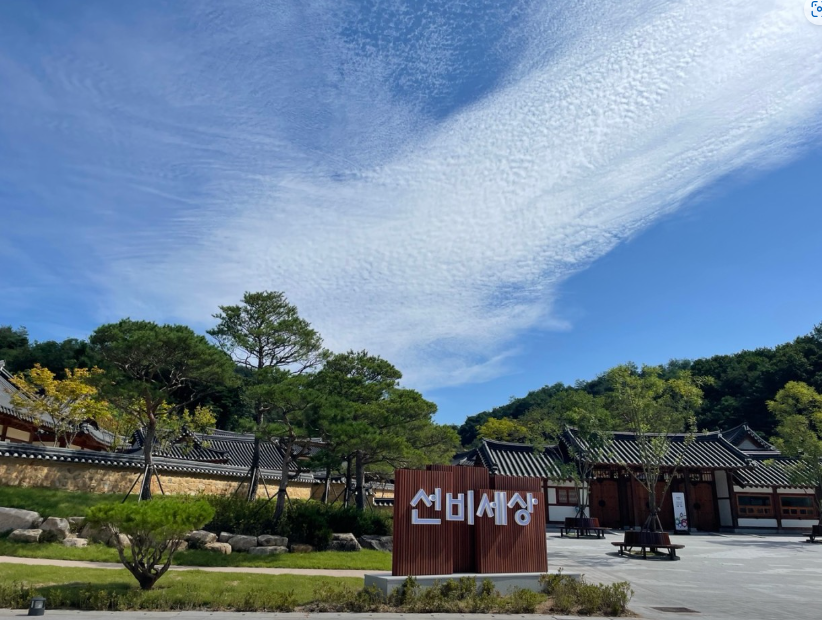 선비 세상
