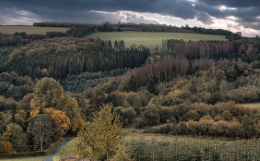 화담숲 예약 방법 모노레일 입장료