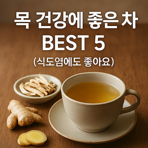 진짜-효과-본-기관지-차-BEST-5-(식도염에도 좋아요)