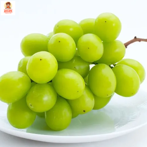 샤인머스켓 항산화 작용