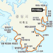 🐠 [국내여행과 스킨스쿠버] 핫플 BEST 10
