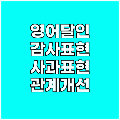 영어 소통의 달인: 감사와 사과 표현..