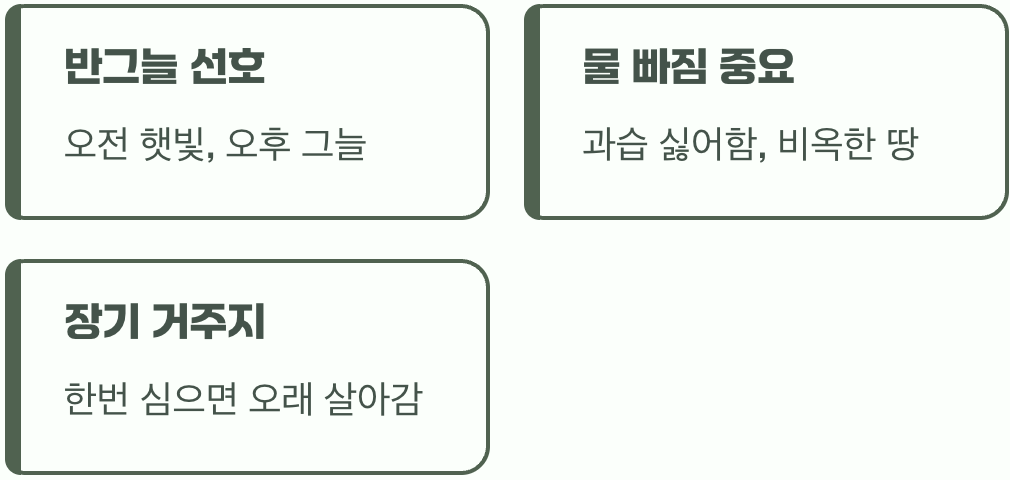 추명국을 위한 최고의 명당