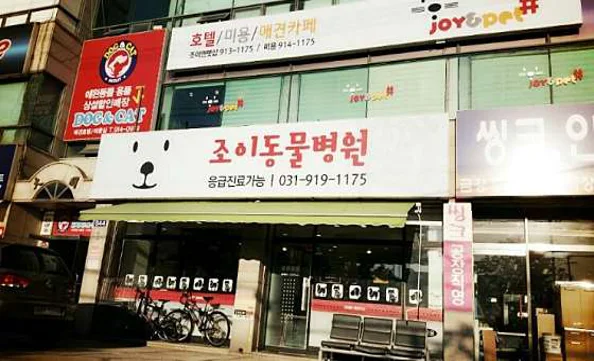 조이동물병원