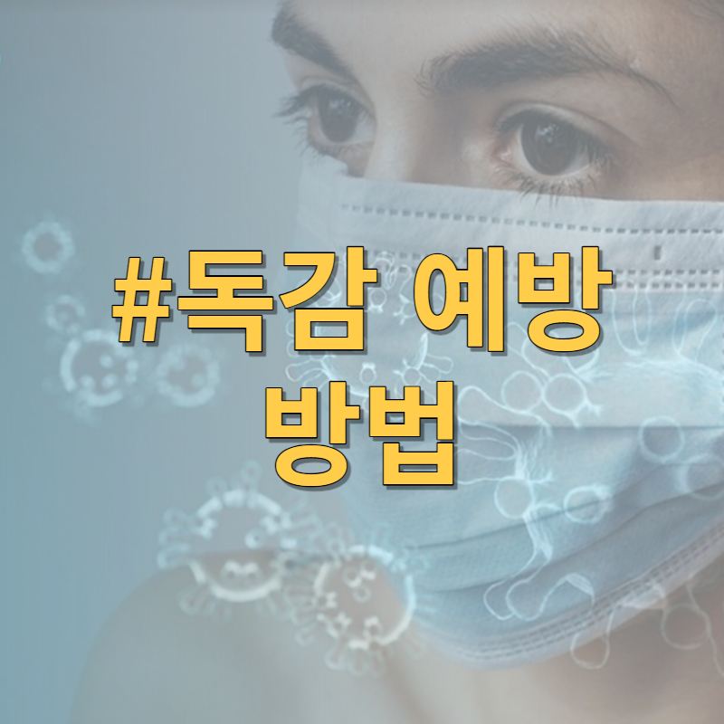 독감 예방 방법