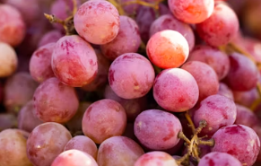 멀티비타민 추천 복용시간 먹는시간