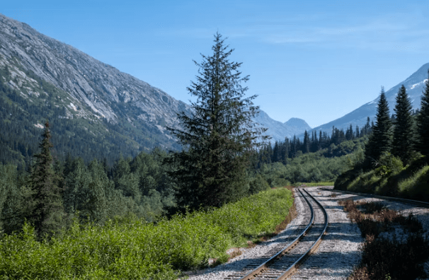 크루즈 기항지 투어 꿀팁: 지역별 명소 추천
