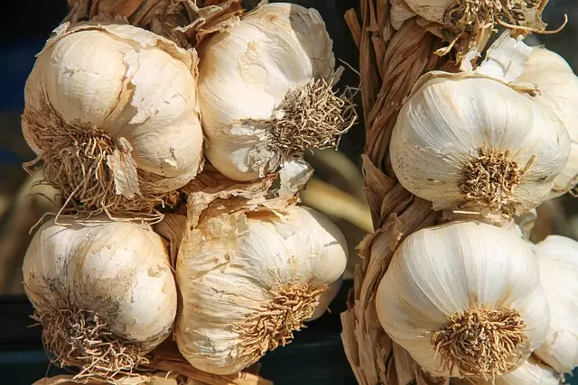 garlic-3747176_640