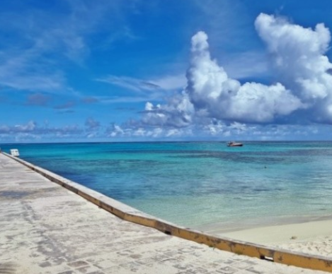 해외여행자-보험