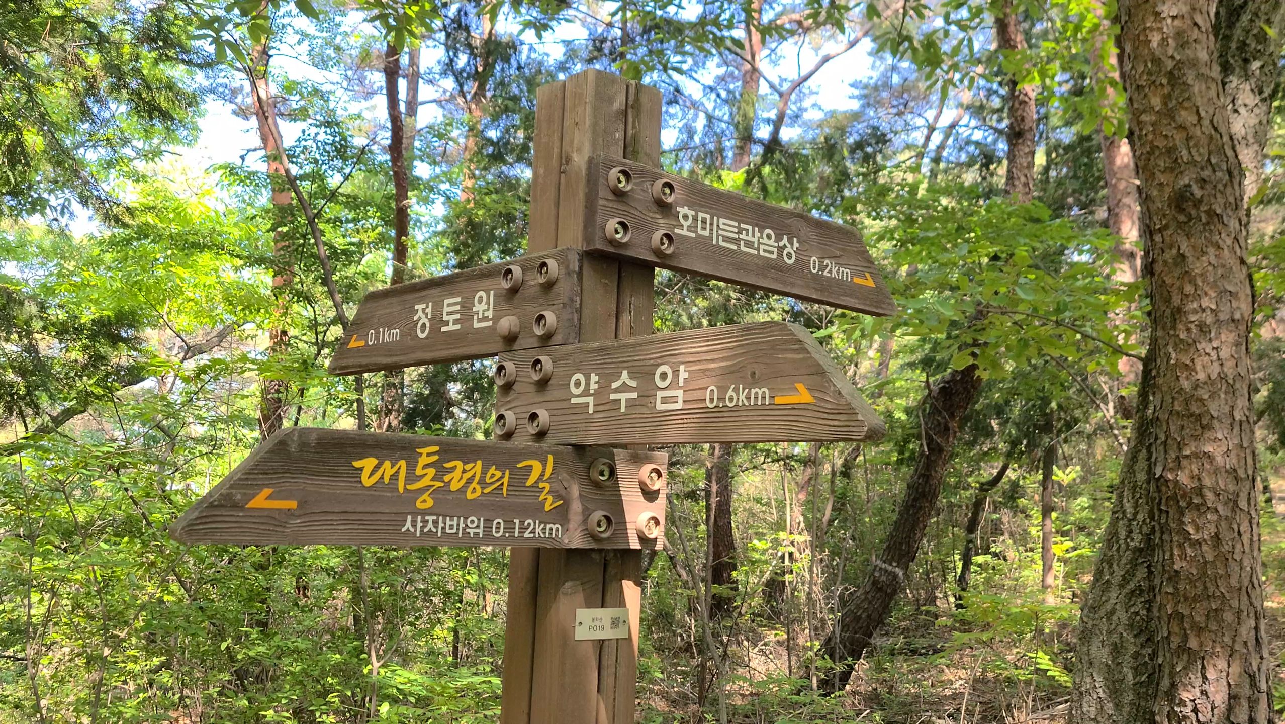 김해 봉하마을 봉화산