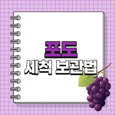 포도 보관
포도 보관법
포도 보관 랩
포도 보관 꿀팁
포도 보관기간
포도 신선하게 보관
포도 냉장 보관
포도 보관 방법
포도 보관 온도
포도 곰팡이 방지
과일 보관 랩
포도 보관 잘하는 법
포도 줄기 보관
포도 랩 감싸기
포도 오래 보관하는 법