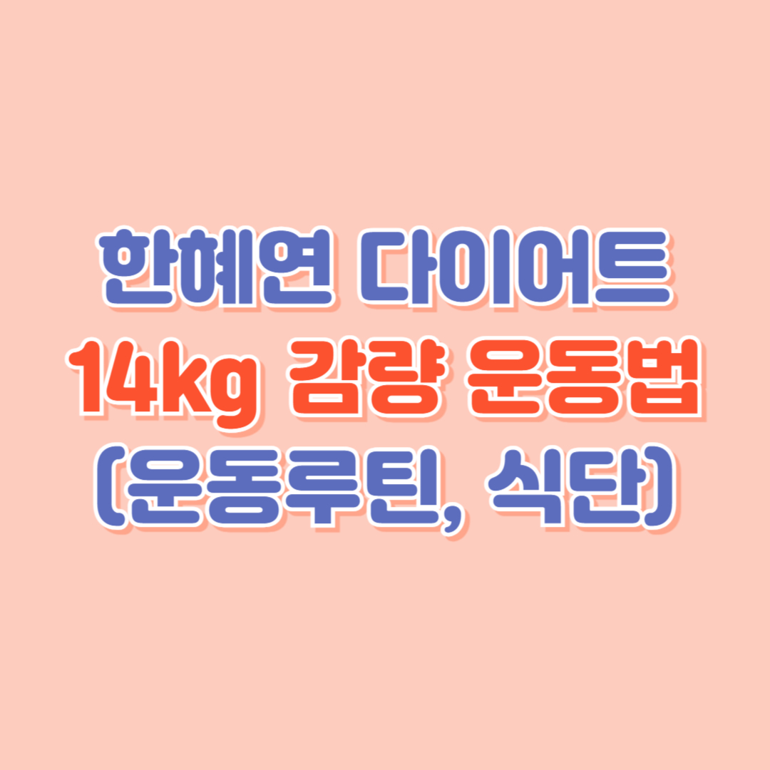 한혜연 다이어트 - 14kg 감량 운동법 유튜브 공개 (운동루틴 ,식단)
