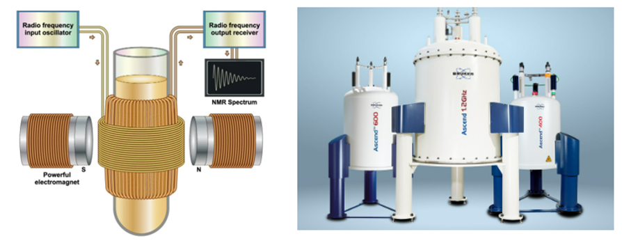 핵자기 공명 분광기 (NMR)