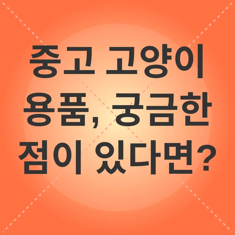 중고 고양이 용품_4