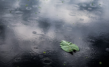 장마철 습기제거 꿀팁 