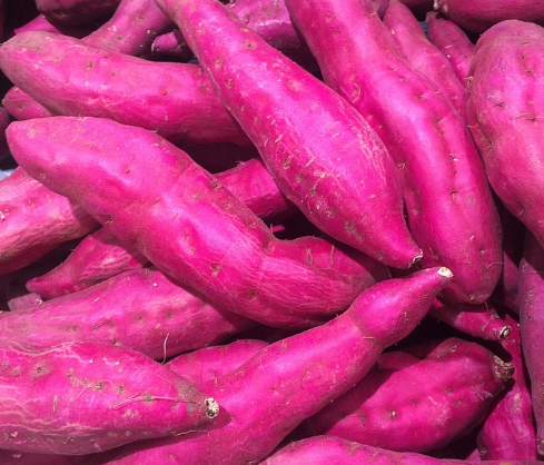 췌장암좋은음식