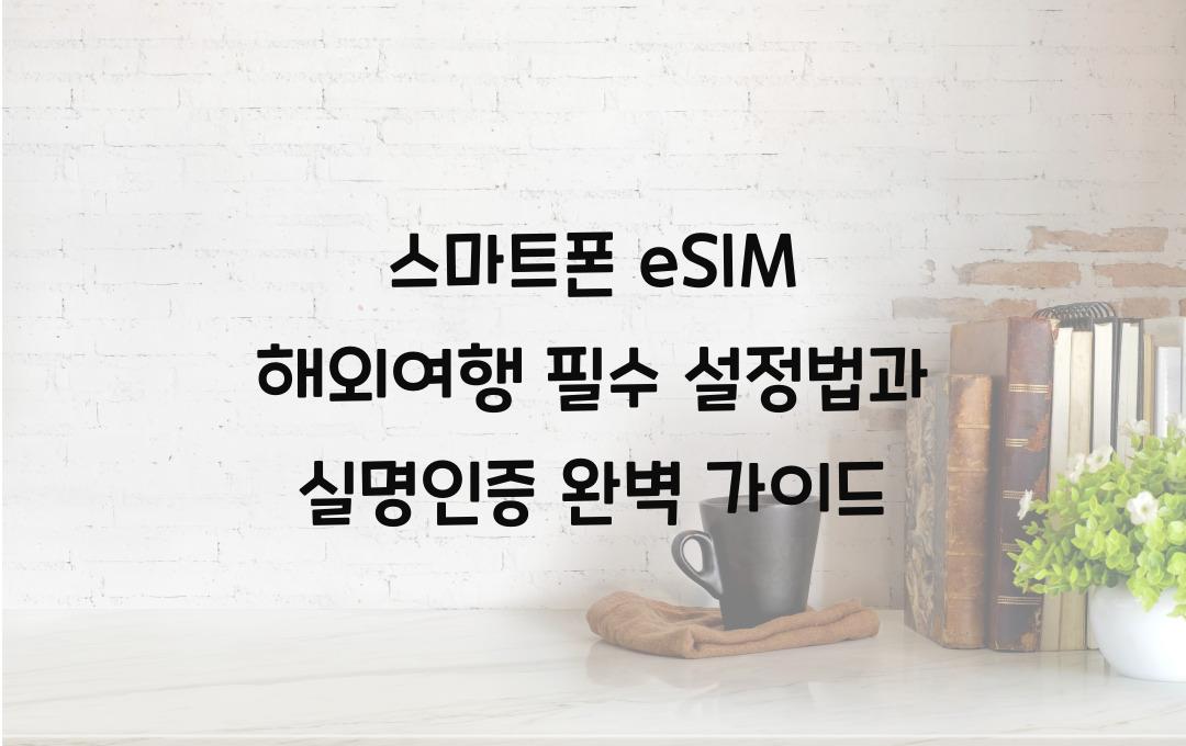 스마트폰 eSIM 해외여행 필수 설정법과 실명인증 안내
