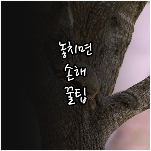 강원 미취업 여성 2025년 새로운 ..