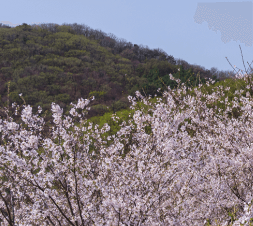 화담숲 